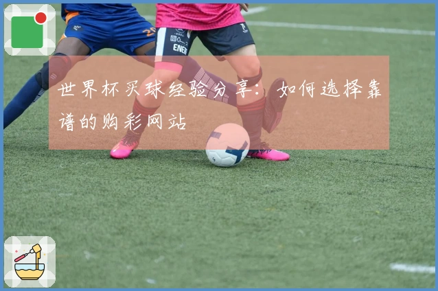 世界杯买球经验分享：如何选择靠谱的购彩网站