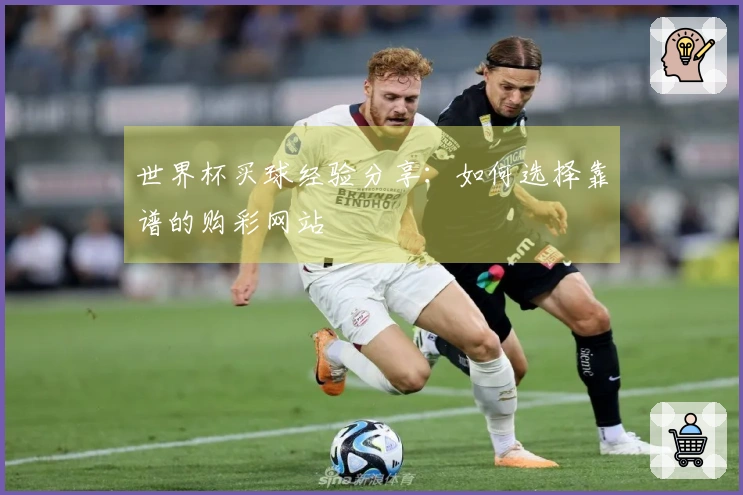 世界杯买球经验分享：如何选择靠谱的购彩网站
