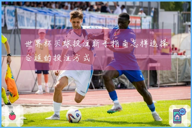 世界杯买球投注新手指南怎样选择合适的投注方式