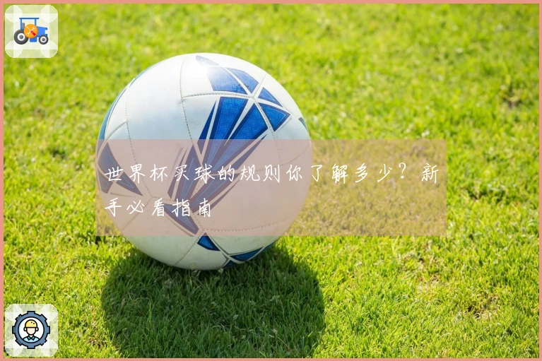 世界杯买球的规则你了解多少？新手必看指南