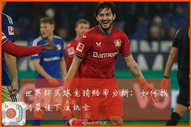 世界杯买球竞猜赔率分析：如何找到最佳下注机会